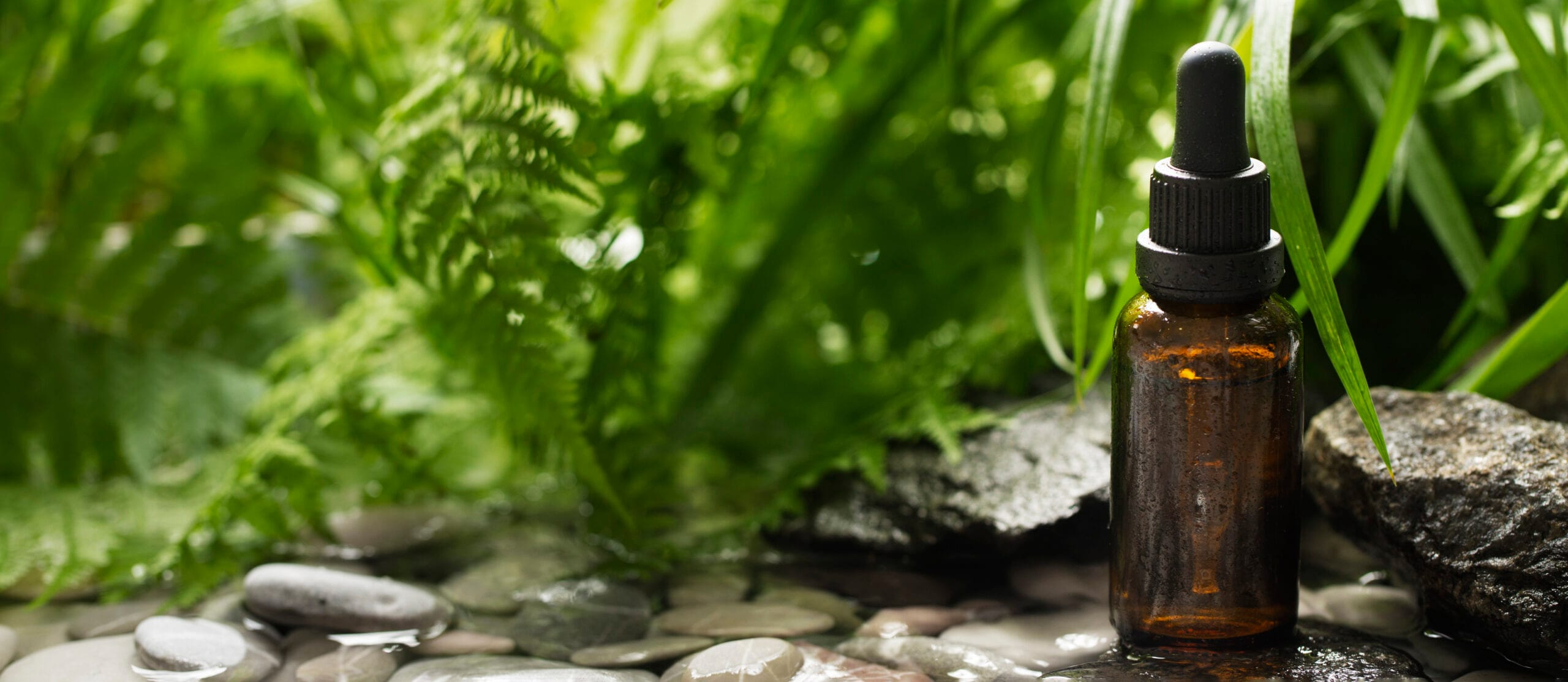 biohacking pour débutants — alimentation fonctionnelle et équilibrée