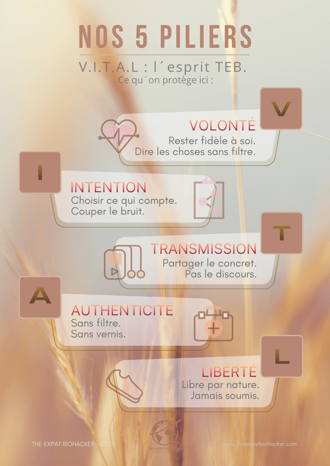 Nos 5 piliers — V I T A L (version FR)