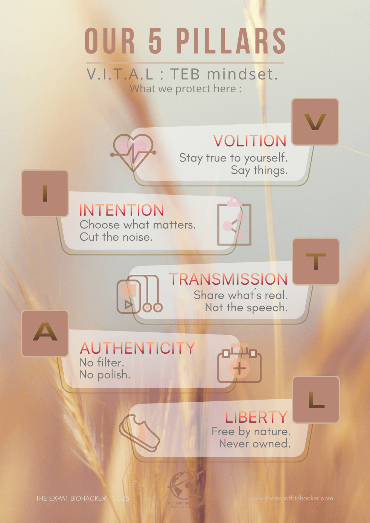 Our 5 pillars — V I T A L (FR visual)