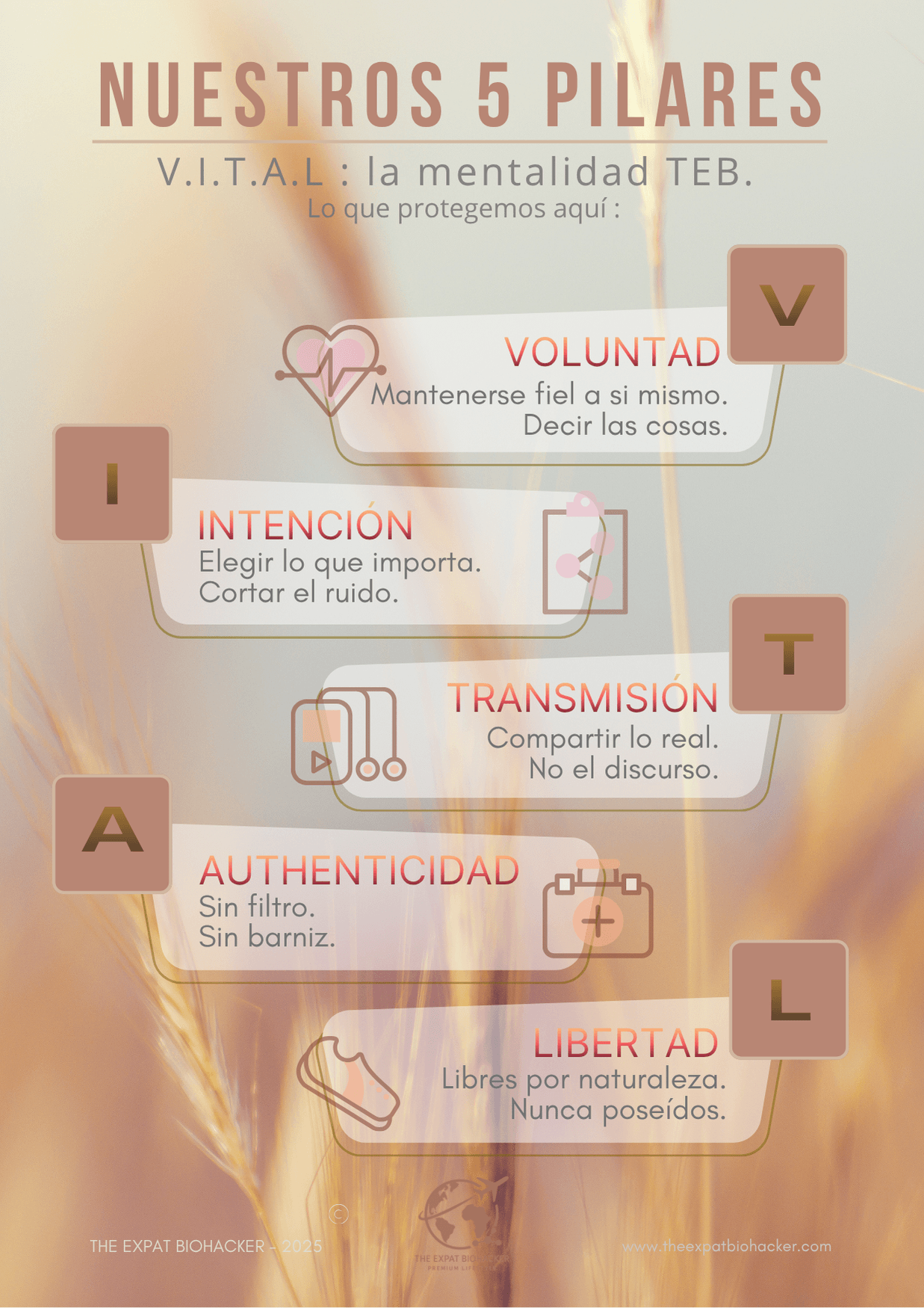 Nuestros 5 pilares — V I T A L (visual FR)