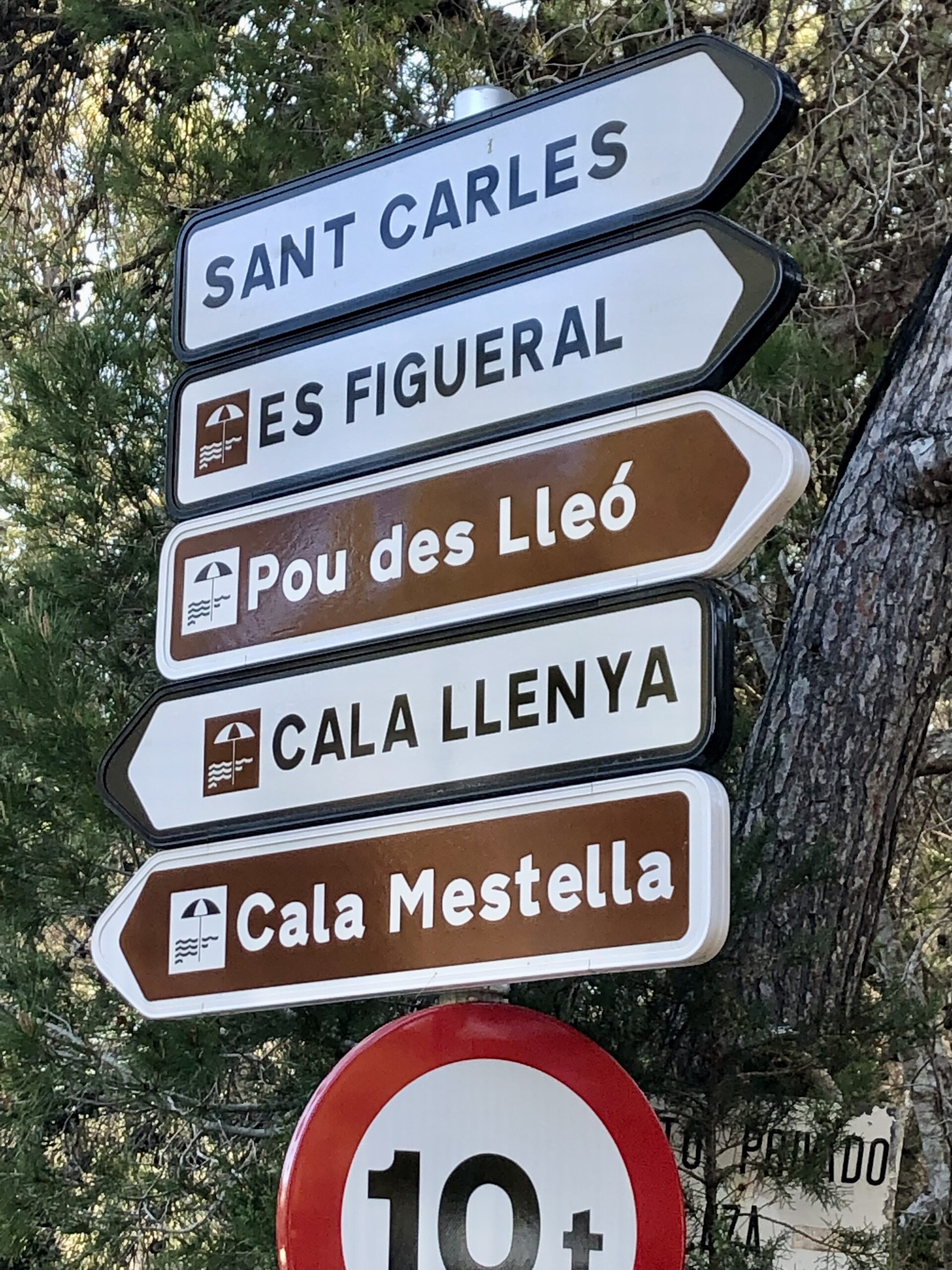 Cala Nova – grande plage turquoise