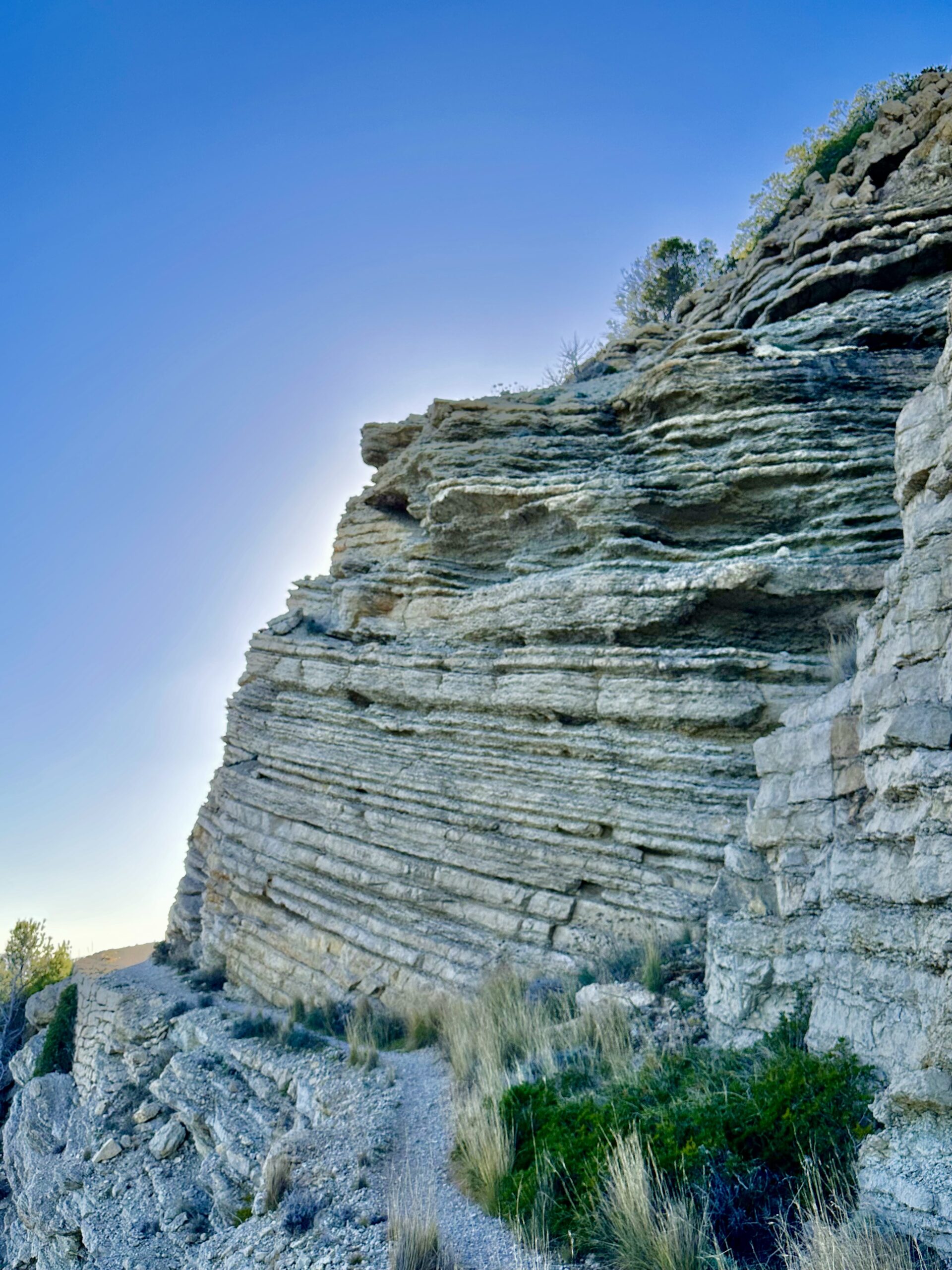 Fossils in the rock on the Sa Punta Grossa Ibiza hike