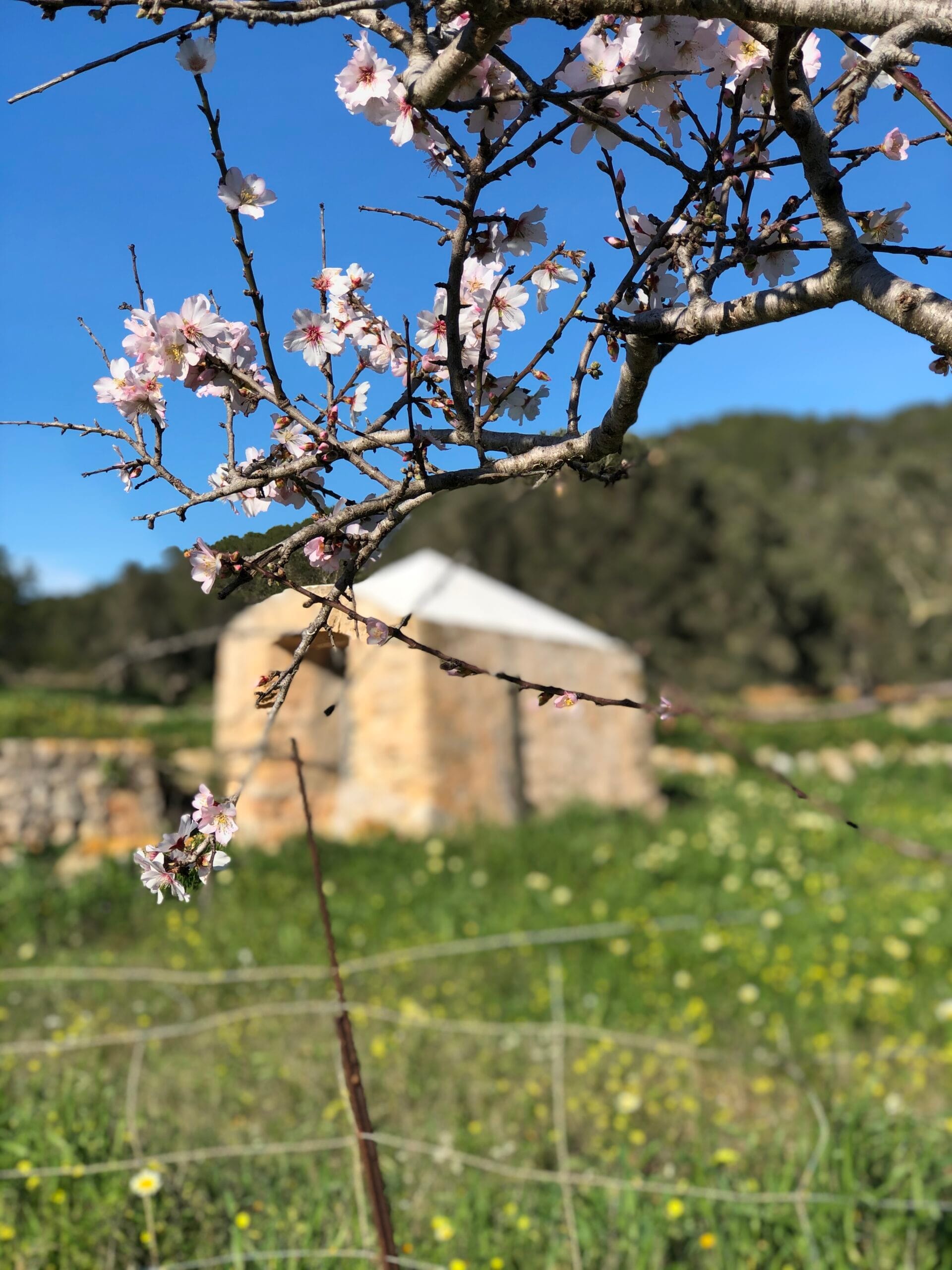 Boost your energy after winter with morning light in spring