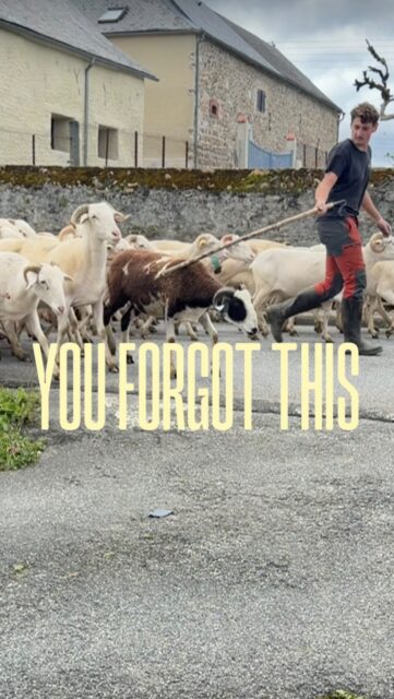 This is not slow living.
This is normal life.You just don’t see it anymore.Pedro R.
The Expat Biohacker • Ibiza → French Pyrenees
#nervoussystem
#slowliving
#mentalreset
#rurallife
#expatlife