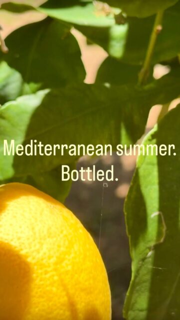 Lemon🍋
Rosemary🌿
Warm light☀️I wanted to capture the feeling of Mediterranean evenings in a simple homemade citrus syrup.Slow aromas.
Simple ingredients.
No artificial nonsense.Pedro R. • The Expat Biohacker • Ibiza 🏝️#MediterraneanLifestyle #IbizaLiving
#SlowLiving #CitrusSeason
#theexpatbiohacker