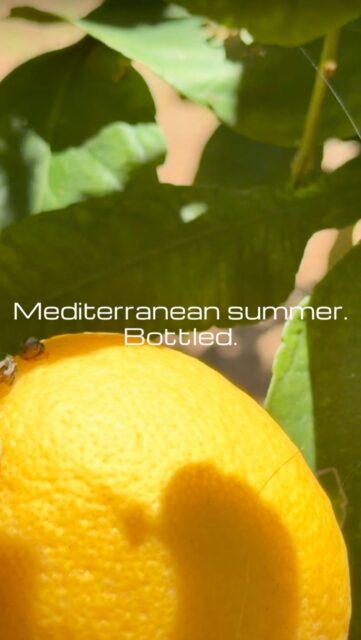 Lemon🍋
Rosemary🌿
Warm light☀️I wanted to capture the feeling of Mediterranean evenings in a simple homemade citrus syrup.Slow aromas.
Simple ingredients.
No artificial nonsense.Pedro R. • The Expat Biohacker • Ibiza 🏝️#MediterraneanLifestyle #IbizaLiving
#SlowLiving #CitrusSeason
#theexpatbiohacker