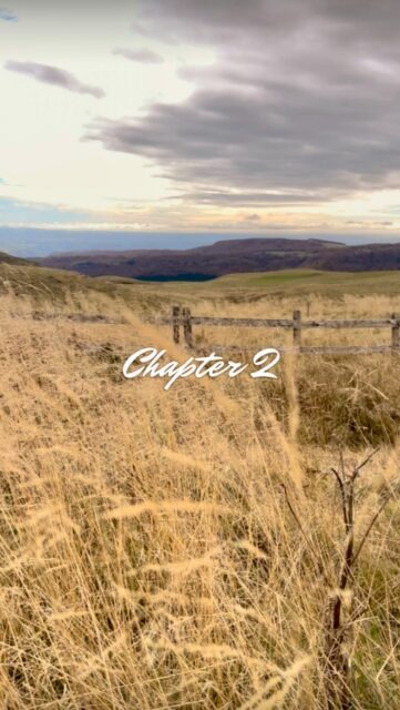 Some places change your life.Others simply help you discover who you’ve been all along.Sometimes…the greatest journey is coming home to yourself.Chapter 2.Pedro R. · The Expat Biohacker · Ibiza 🌿#TheExpatBiohacker #ExpatLife #SlowLiving #MediterraneanLife #PersonalGrowth